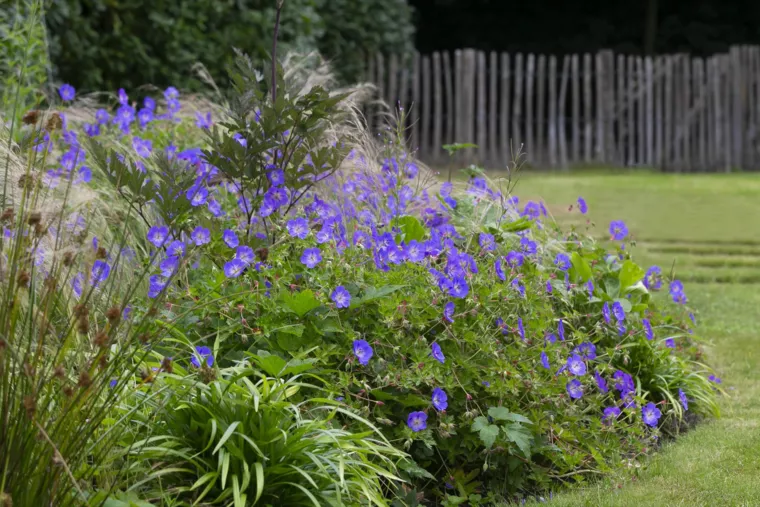 Speelse kusttuin met Dutchborder vol bloemenpracht en tuinberegening te Oostduinkerke (9) - 