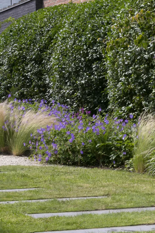 Speelse kusttuin met Dutchborder vol bloemenpracht en tuinberegening te Oostduinkerke (8) - 