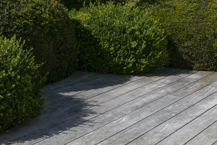 Landelijk gelegen tuin met elegante haagmassieven (3) - 